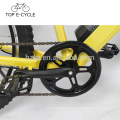 OEM E-Bike Cruiser City Style 500W Bafang Motor Bicicleta eléctrica 48V 10.2Ah Green Power Ebike China